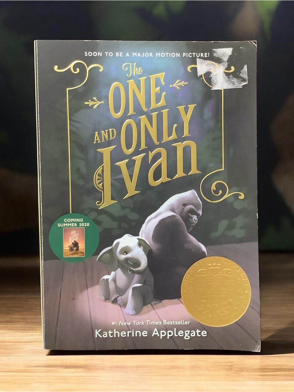 The one and only Ivan Book🦍🐘